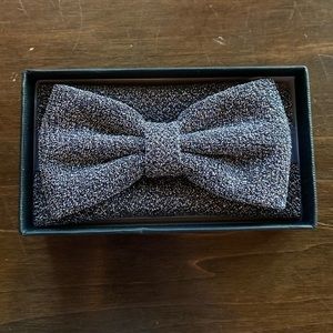 Silver Occasion Tie & Bow Tie